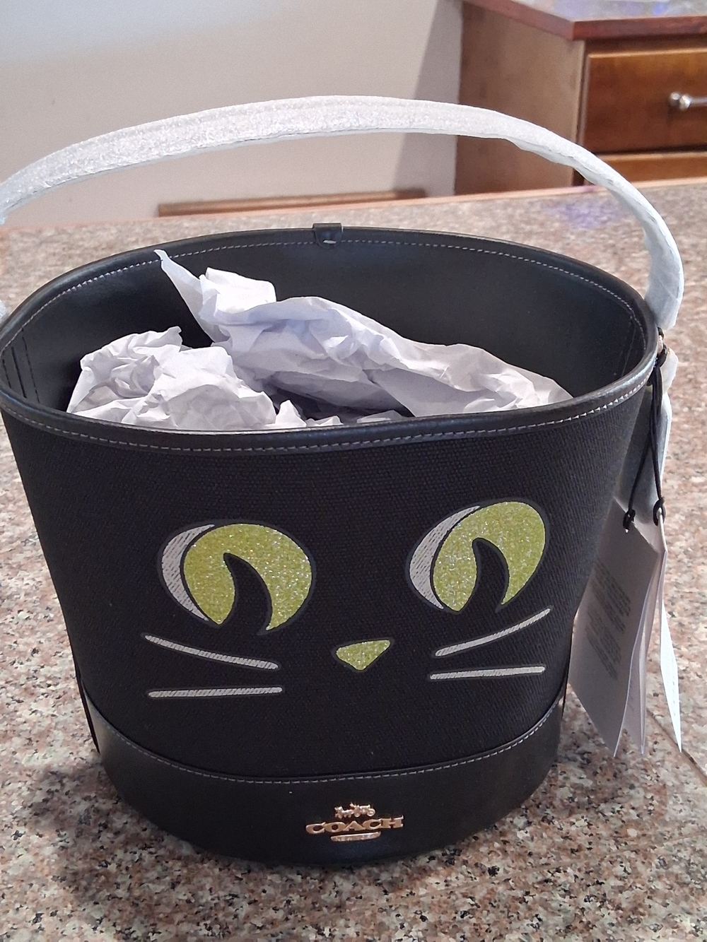 Coach Black Cat Bucket Bag with Lime Accent.Brand New
